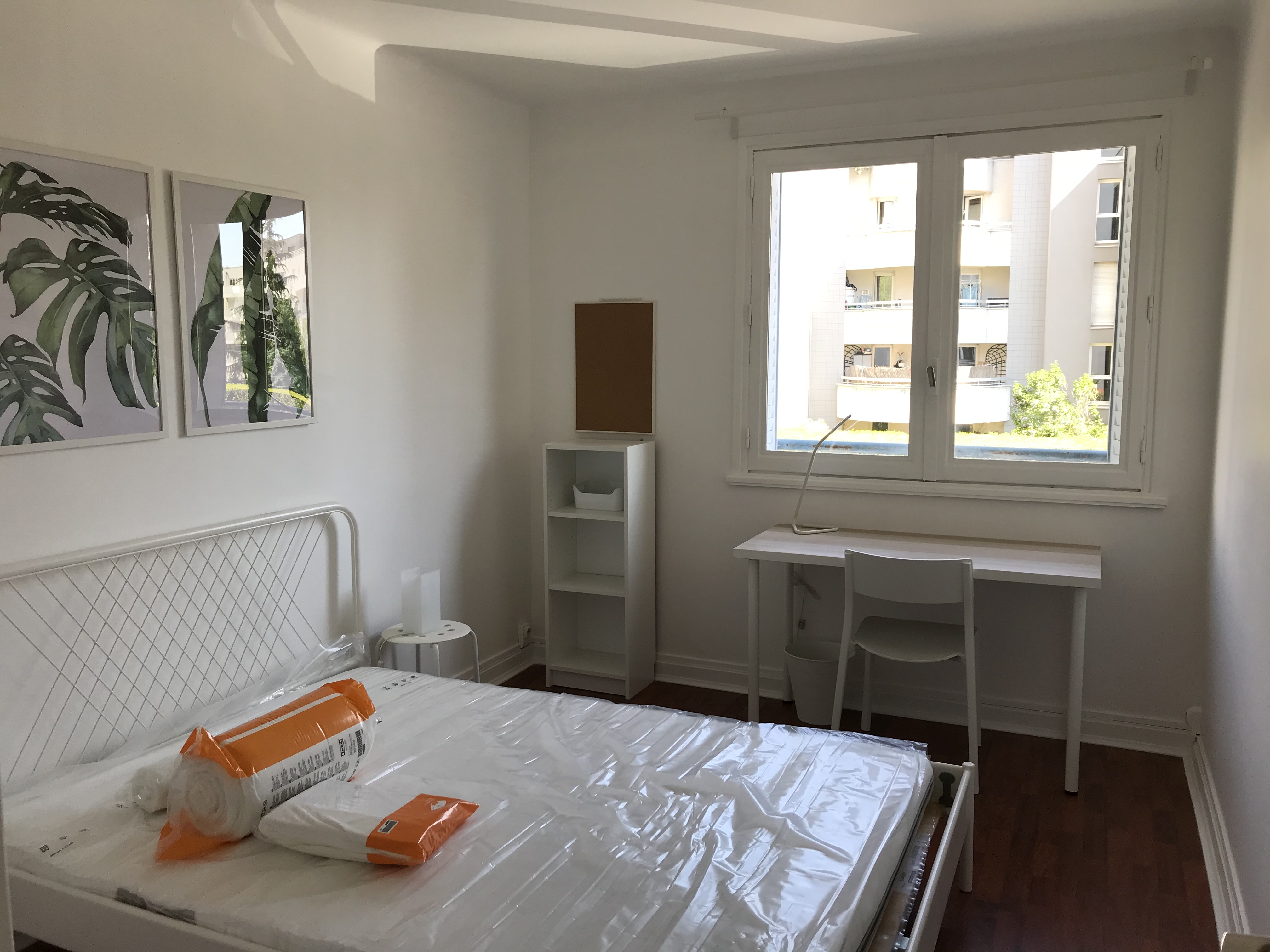 location Location Lyon 69007 Chambre dans appartement en